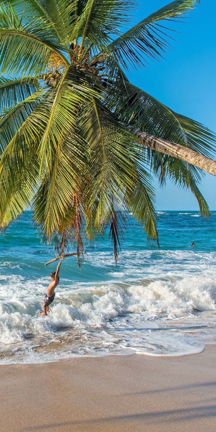 736x1472 Cruises to Roatan, Honduras. Royal Caribbean Cruises