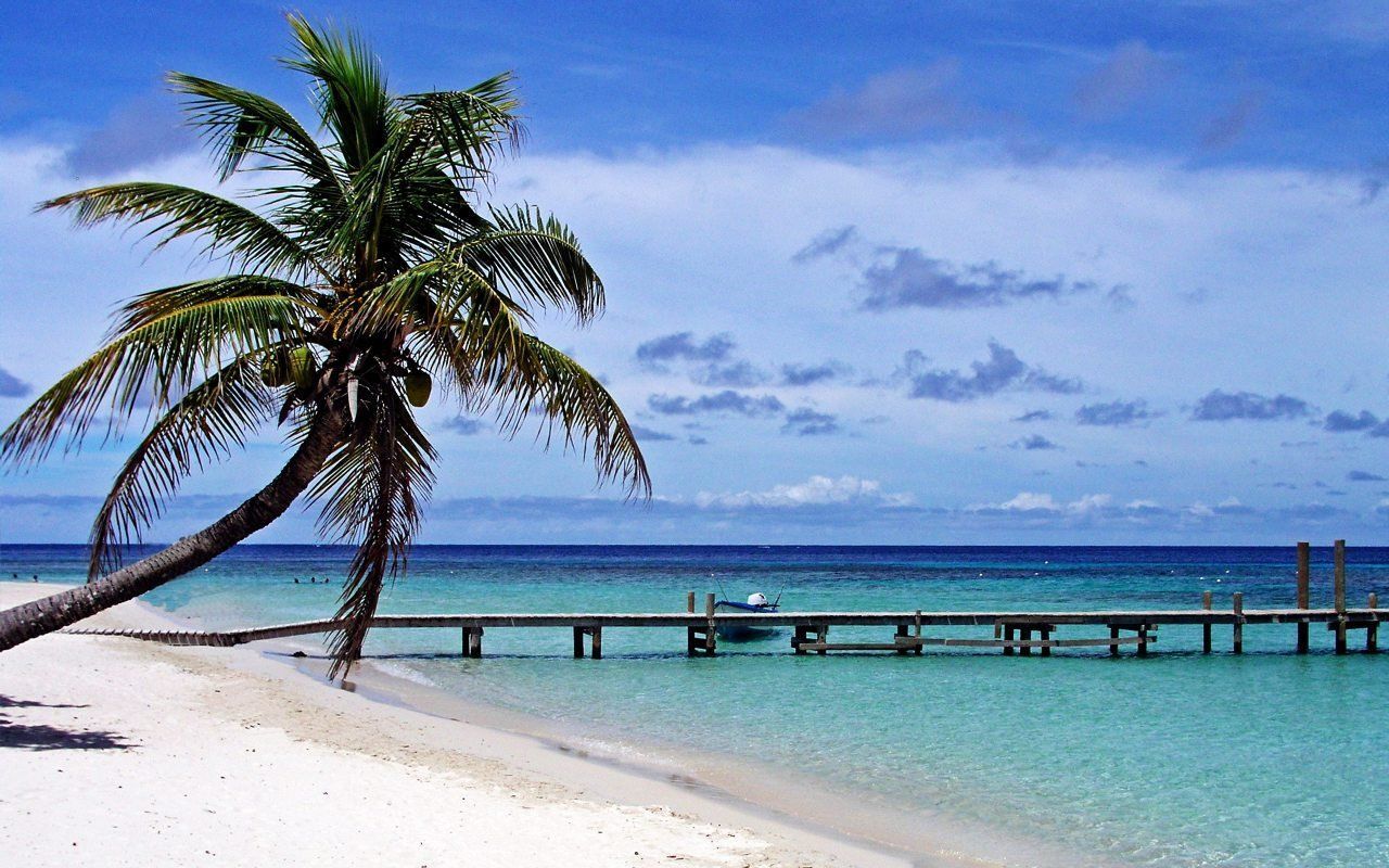 1280x800 Honduras Roatan Bay HD Wallpaper 120698