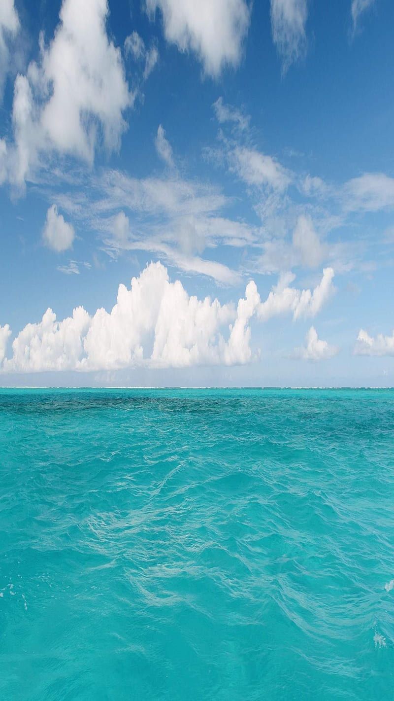 800x1422 Beach Roatan HN, Summer, honduras, HD phone wallpaper