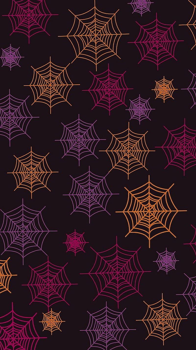 800x1428 Spiderwebs, spider, webs, HD phone wallpaper