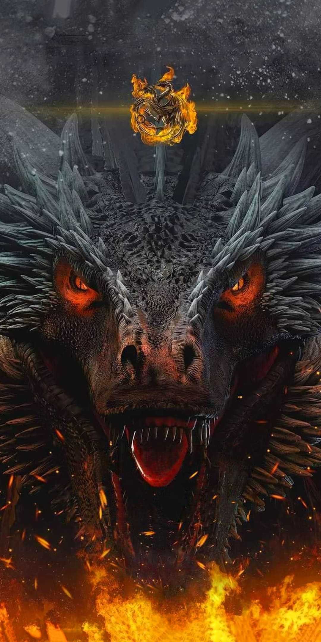 1080x2160 House Of Dragon iPhone Wallpaper