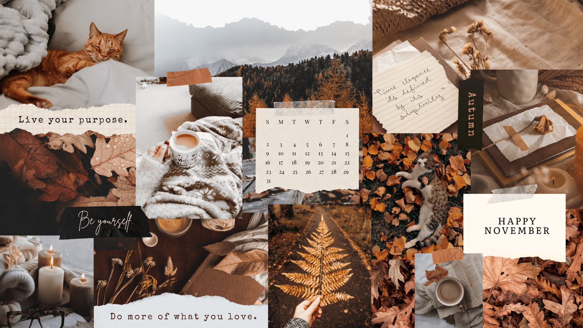 1920x1080 Free November 2025 Desktop Calendar Background (EASY DOWNLOAD)