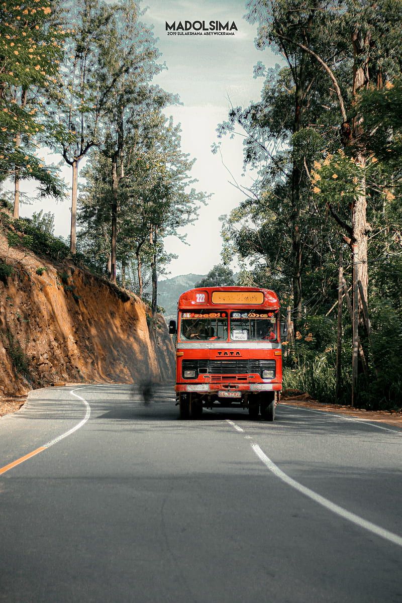 800x1200 Bus, old, red, srilanka, villge, vintage, HD phone wallpaper