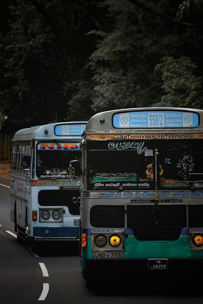 800x1200 Bus Life Sri Lanka, bonito, dark, environment, nature, sri lanka, tree, HD phone wallpaper