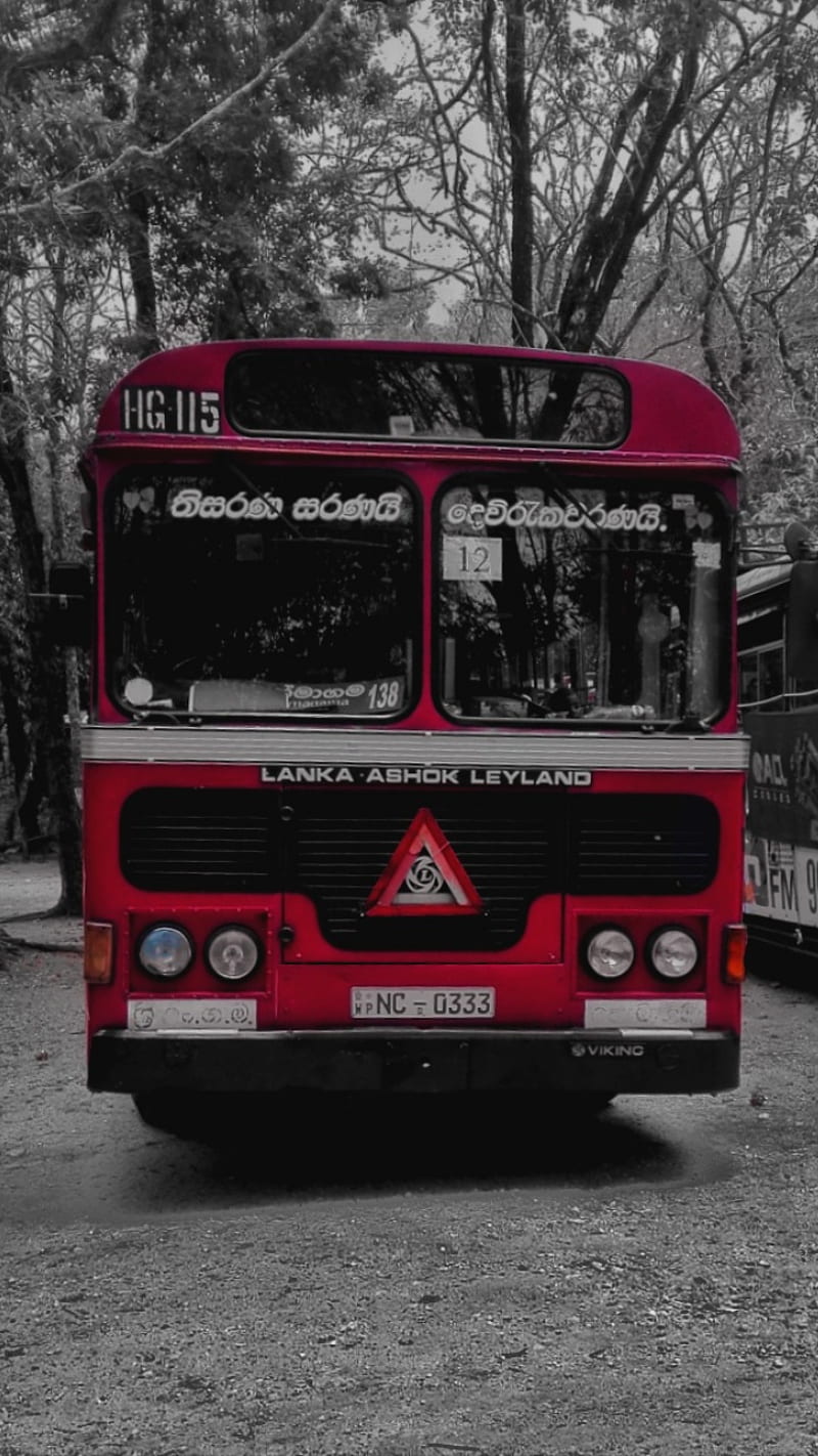 800x1422 Red splash, sltb, sri lanka, travel, bonito, bus, HD phone wallpaper
