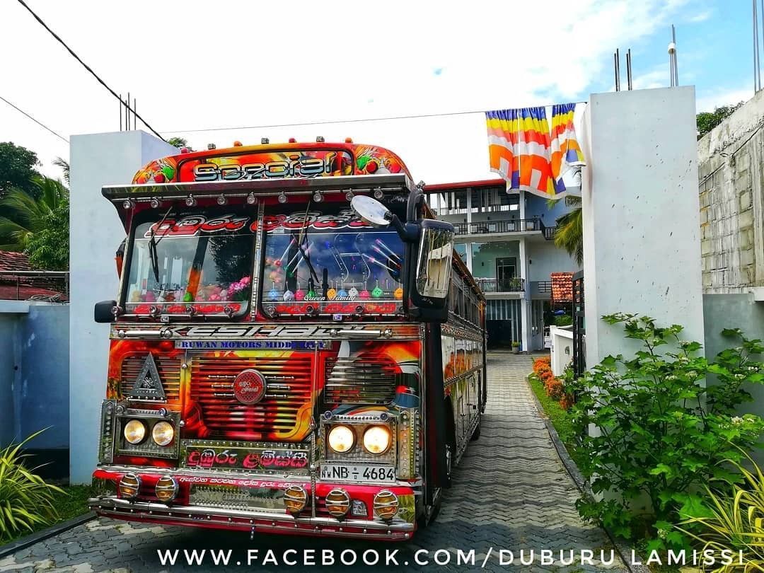 1080x810 දුඹුරු lamissi