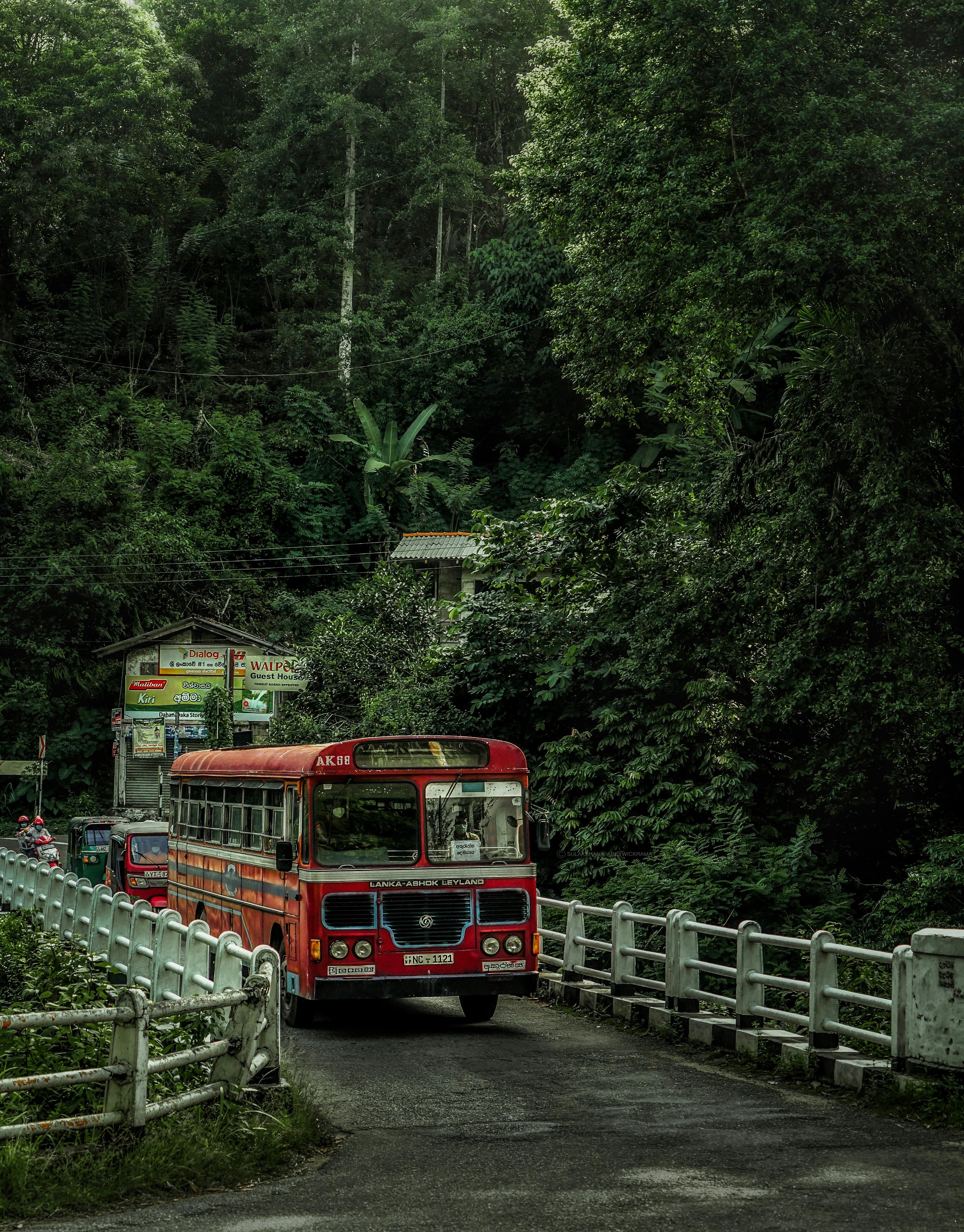 3775x4823 Red Bus on the Road in the Mountains · Free