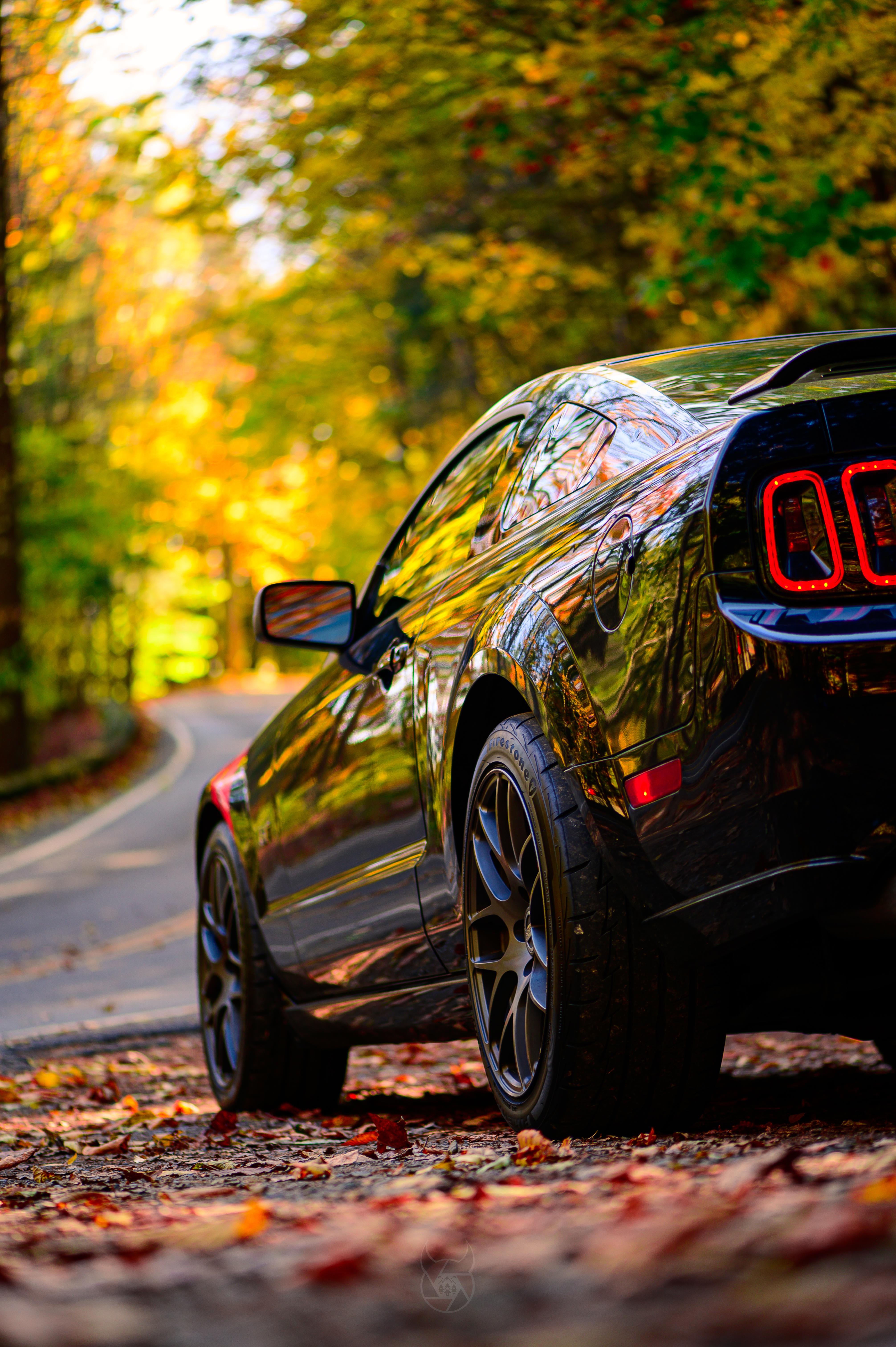 4024x6048 Mustang GT. My beastie in the Fall