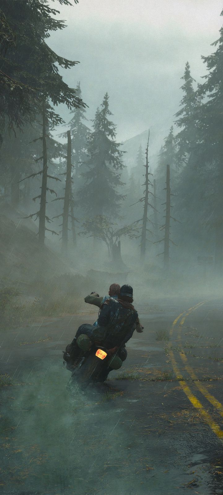 720x1600 Phone wallpaper: Days Gone, Video Game 1431072