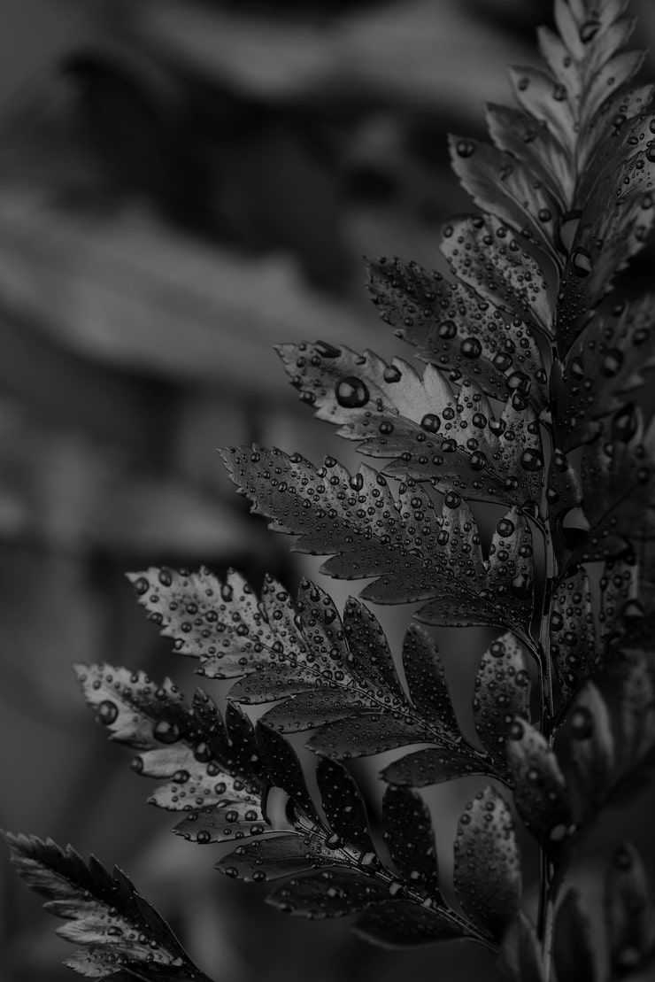 740x1109 Black christian wallpaper Image