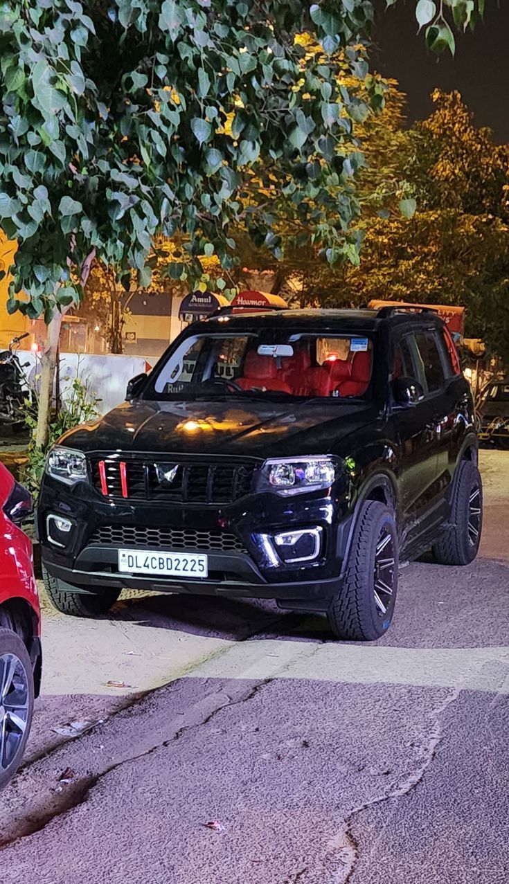735x1277 Scorpio N modified