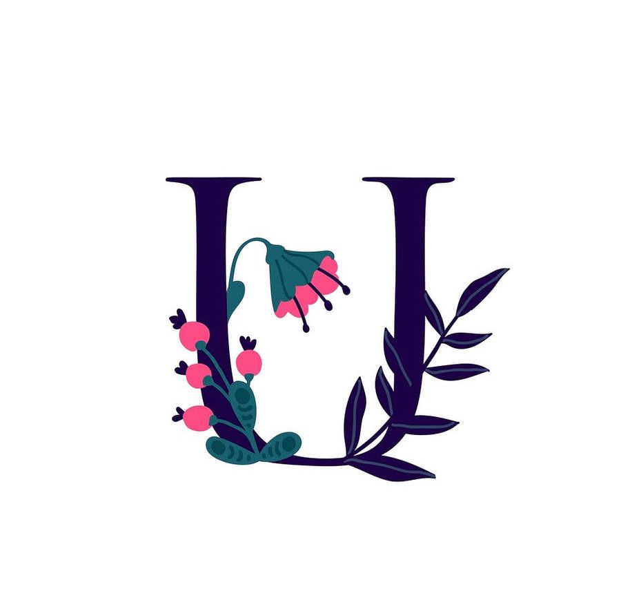 900x882 Download free Letter U Vector Art Wallpaper