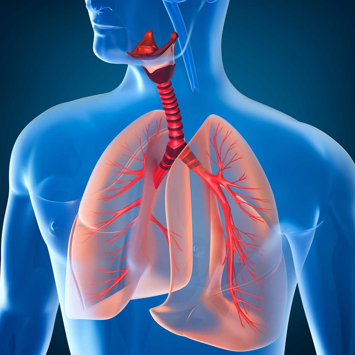 1200x1200 Treatment of Respiratory System Disorders