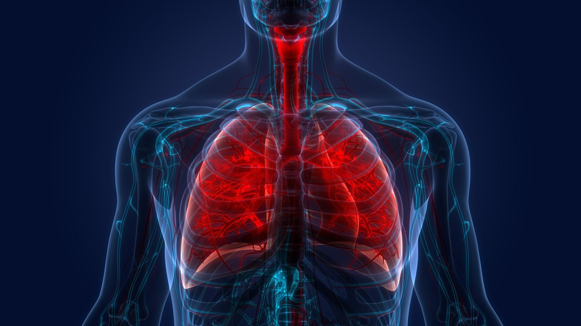 1920x1080 Immune Cells Prevent Lung Healing After Viral Infection