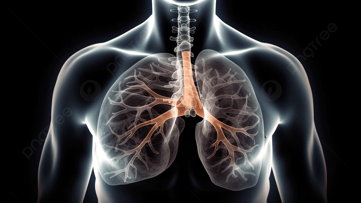 1200x673 Lungs Background Image, HD Picture and Wallpaper For Free Download
