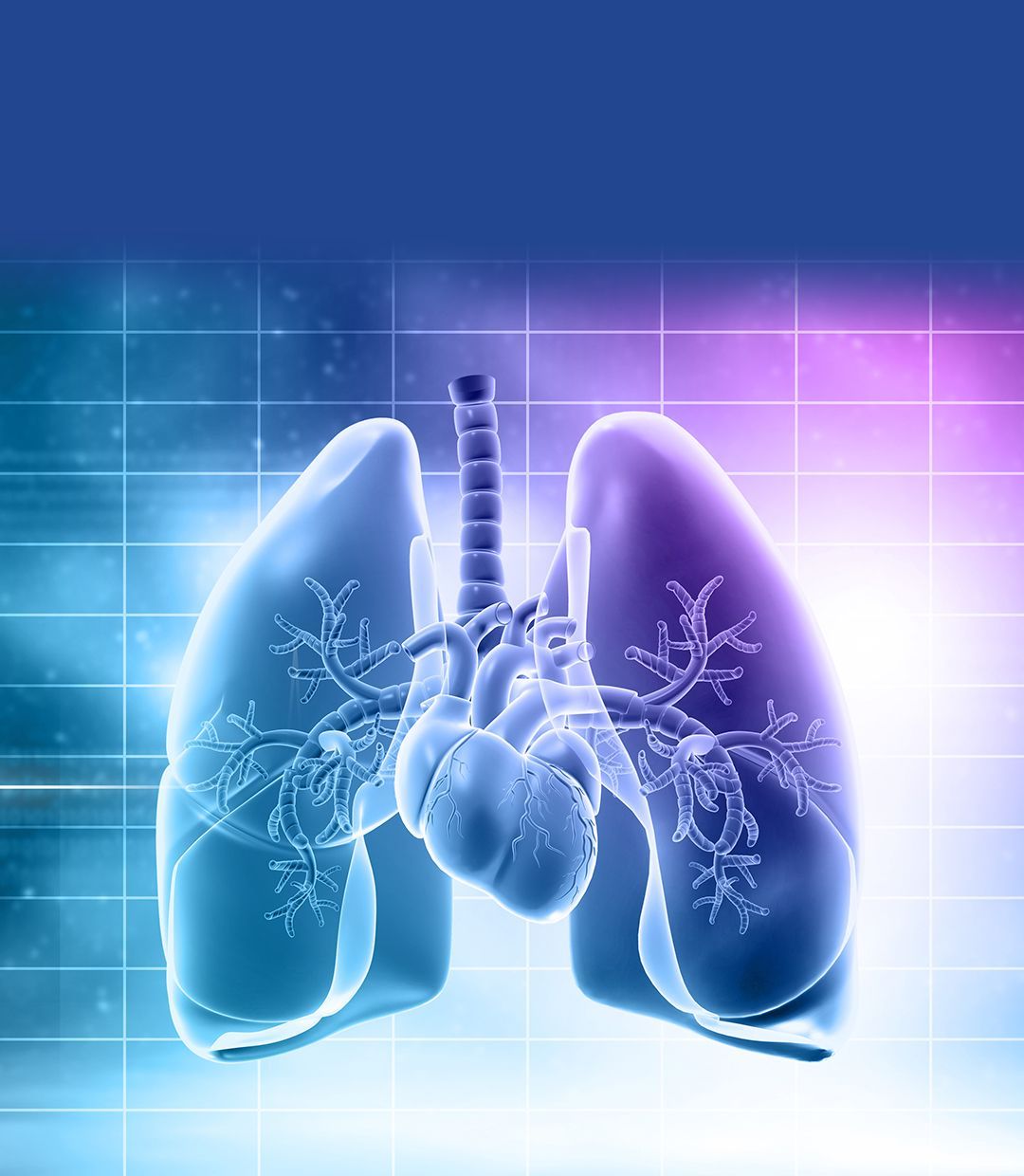 1080x1240 Welcome to the Respiratory Care Program. School of Health Professions