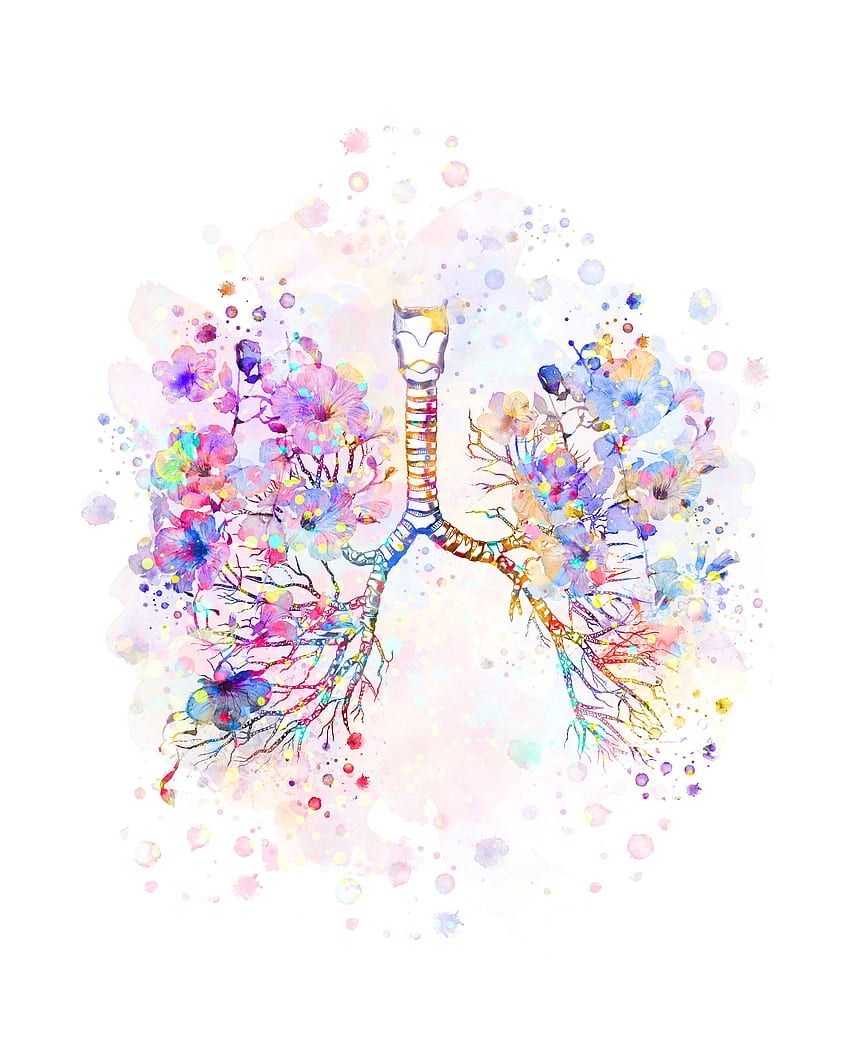 850x1063 Bronchial Tree Watercolor Lungs Anatomy Bronchi Trachea Respiratory System Pulmonologist Gift Clinic Decor Doctor Gift Med Student Gift in 2021. Human anatomy art, Lungs art, Anatomy art HD phone wallpaper