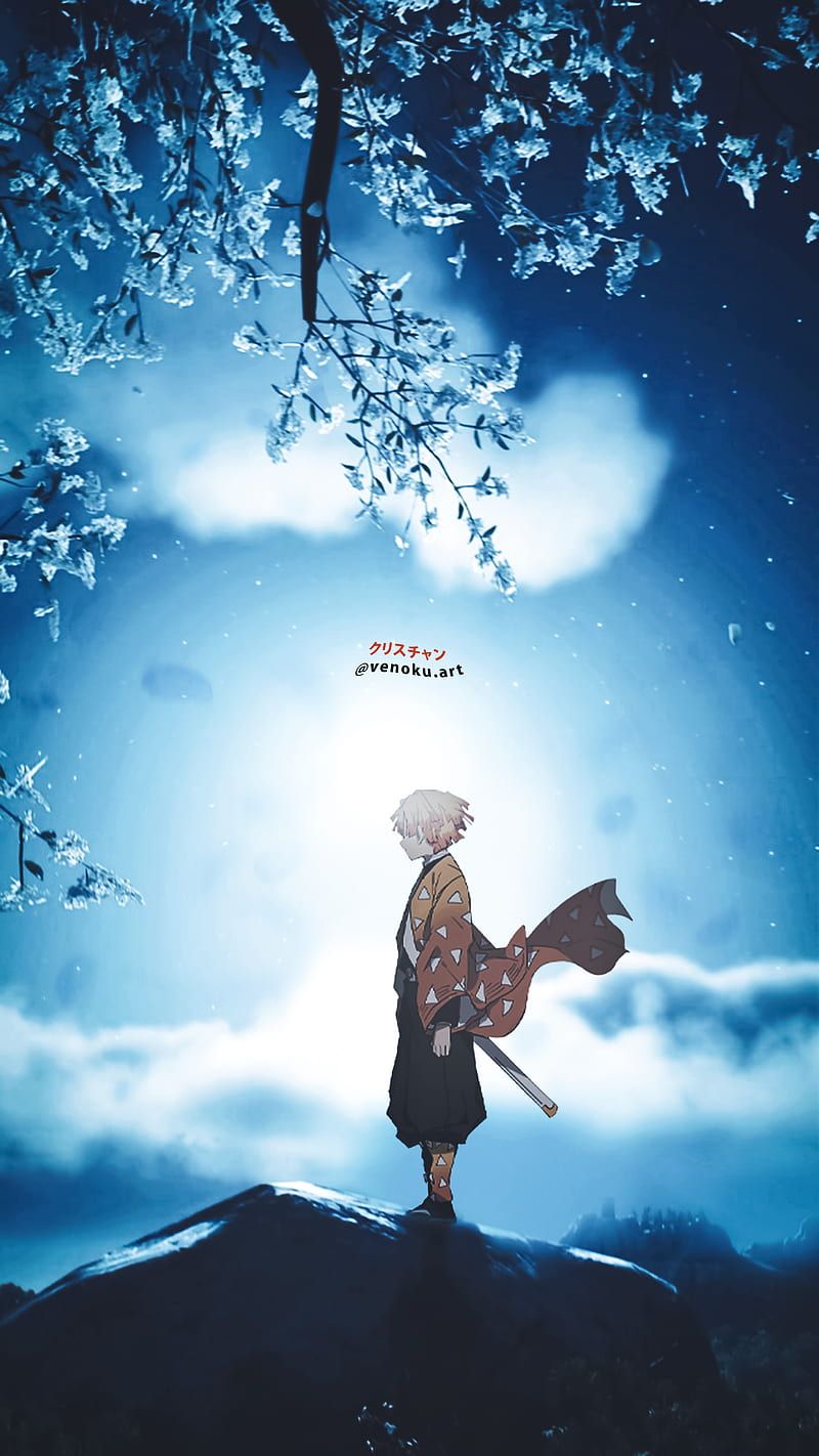 800x1422 Zenitsu agatsuma, anime, demon slayer, forest, kny, manga, nature, night, tanjiro, HD phone wallpaper