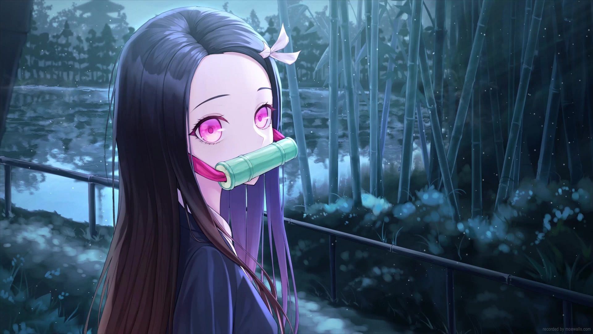 1920x1080 Nezuko Bamboo Forest Kimetsu No Yaiba Live Wallpaper