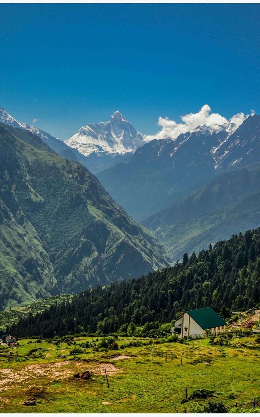850x1360 Nanda Devi Valley Auli Uttarakhand India in 2019 India [1250x1752] for your, Mobile & Tablet HD phone wallpaper