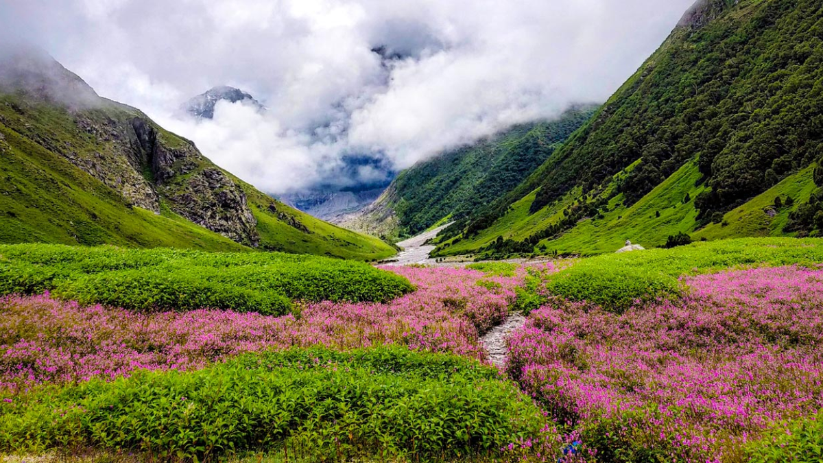 1200x675 UNESCO Heritage Site: Nanda Devi and Valley of Flowers National Park, A Pristine Glory of Himalayas