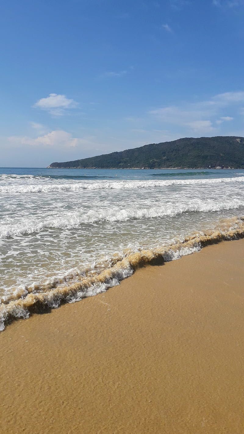 800x1422 HD santa catarina beach wallpaper