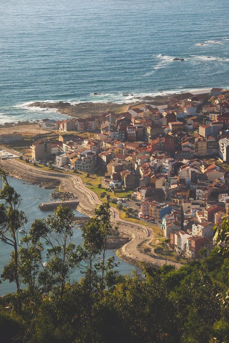 740x1110 Joinville santa catarina Image