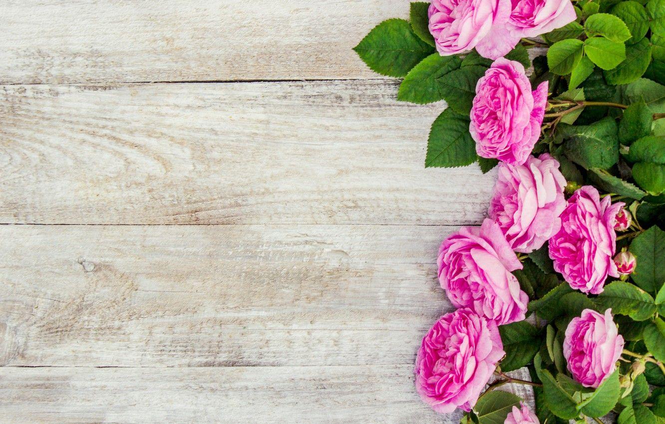 1332x850 Photo Wallpaper Flowers, Roses, Petals, Pink, Wood, Flower