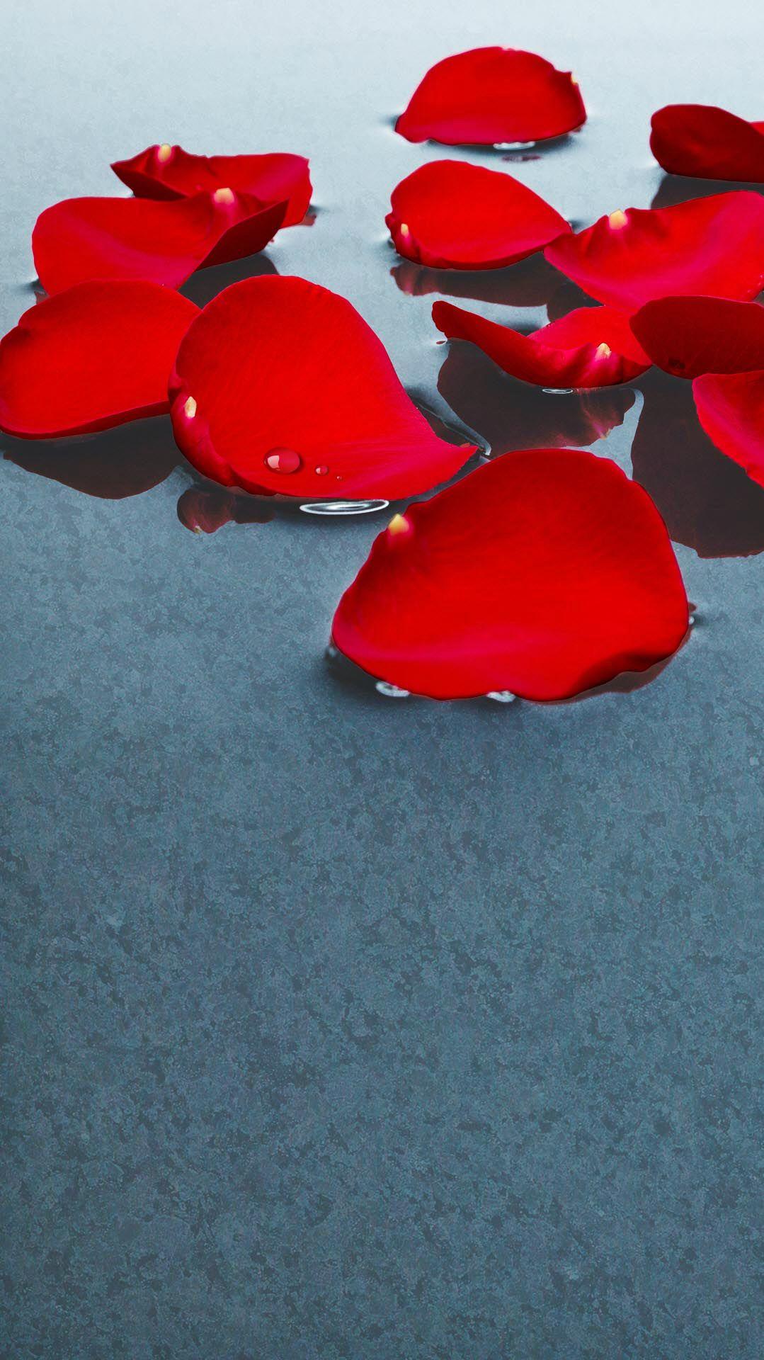 1079x1920 Flower Petal Art iPhone 8 Wallpaper Free Download
