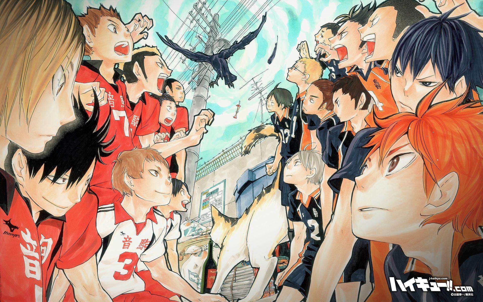 Volleyball anime HD wallpapers | Pxfuel