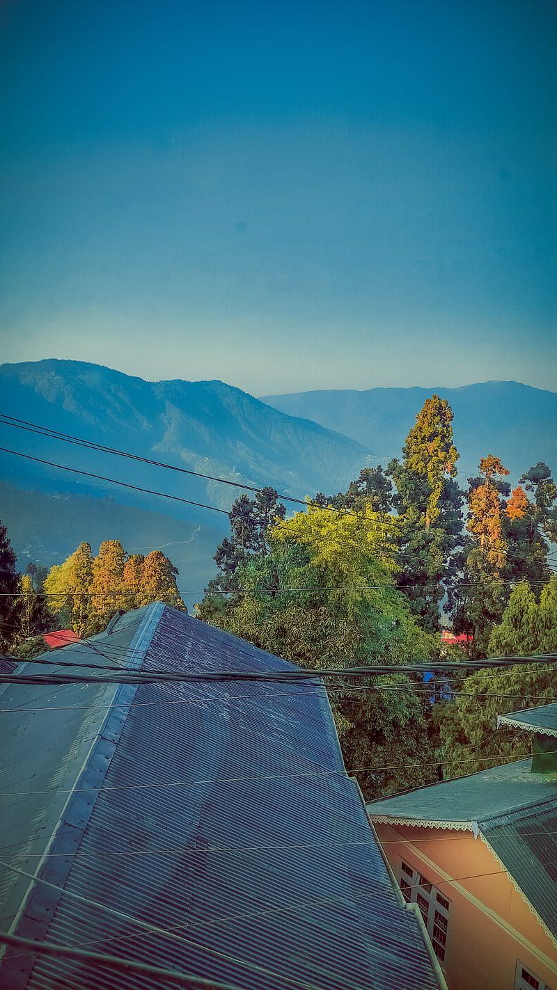 800x1423 HD india winter wallpaper
