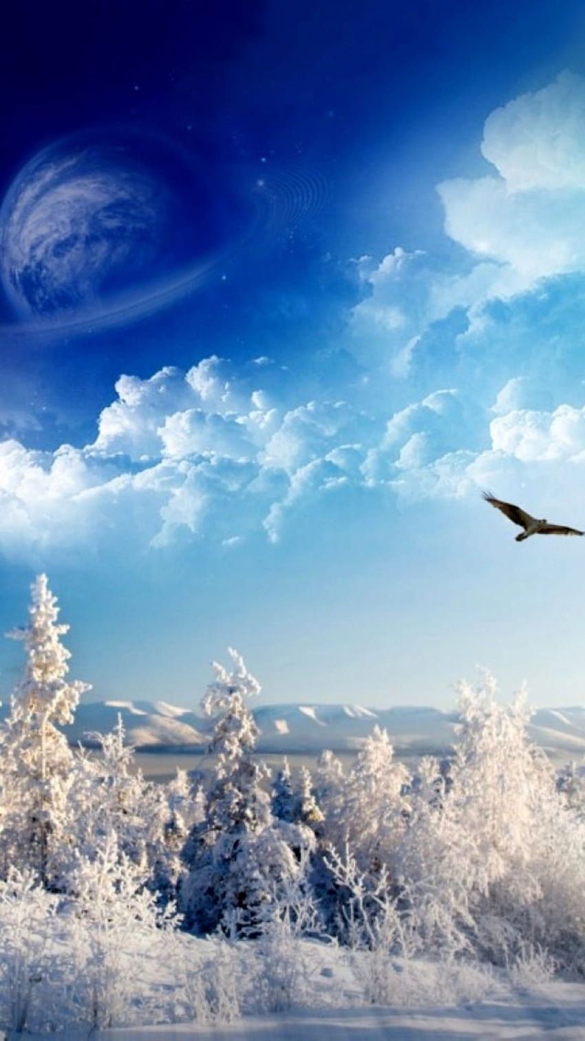 850x1511 IPhone 8 7 6 Plus, Winter India HD Phone Wallpaper