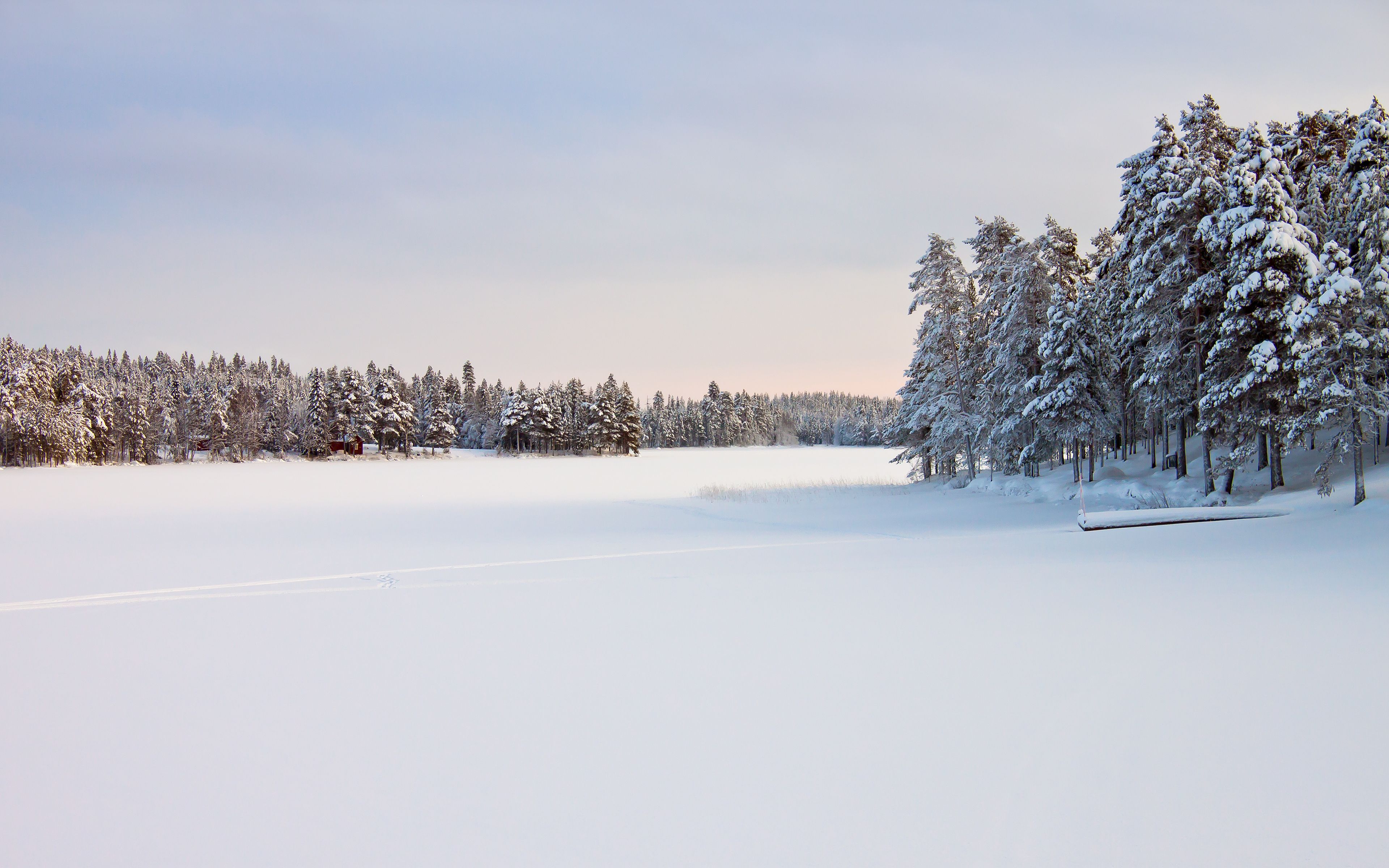 3840x2400 Wallpaper Coldest Place in The India, Snow, Winter, Lauphoehoe Point, Dras, Background Free Image