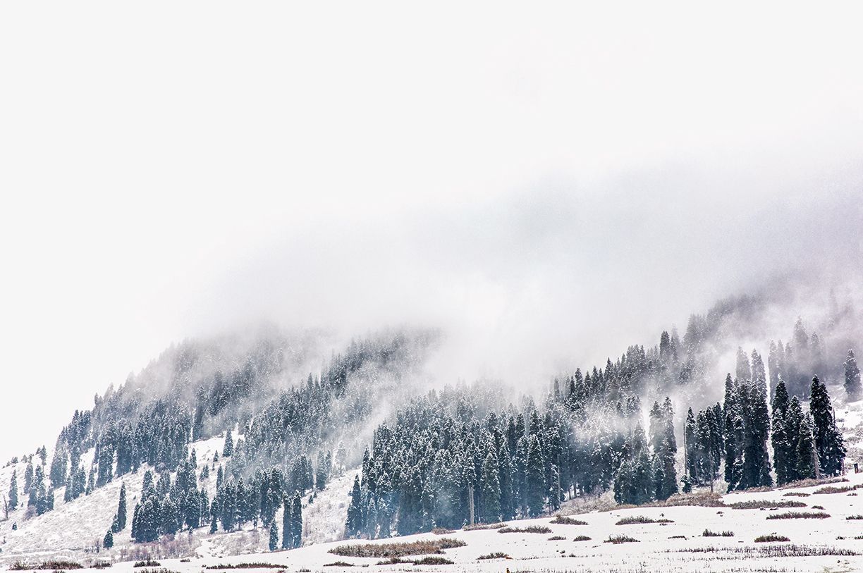 1224x813 stunning winter wonderland photo in India. Condé Nast Traveller India