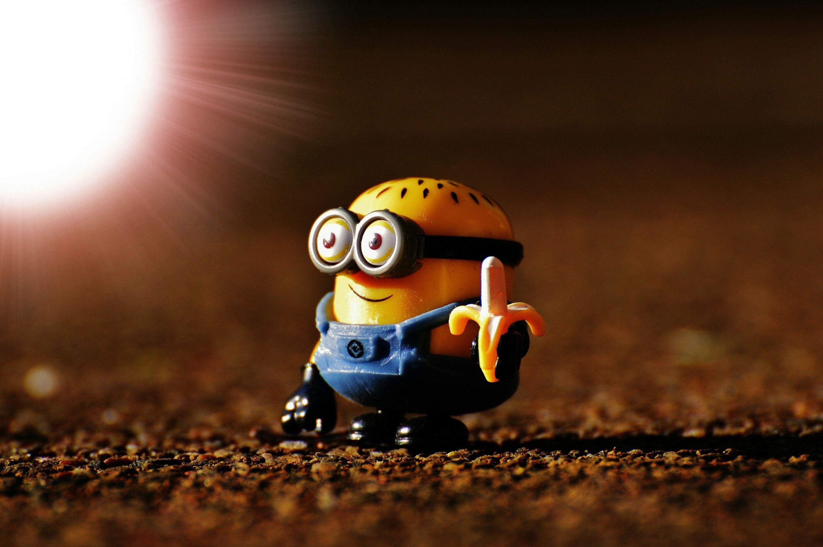 Minion Bob Wallpapers - Top Free Minion Bob Backgrounds - WallpaperAccess