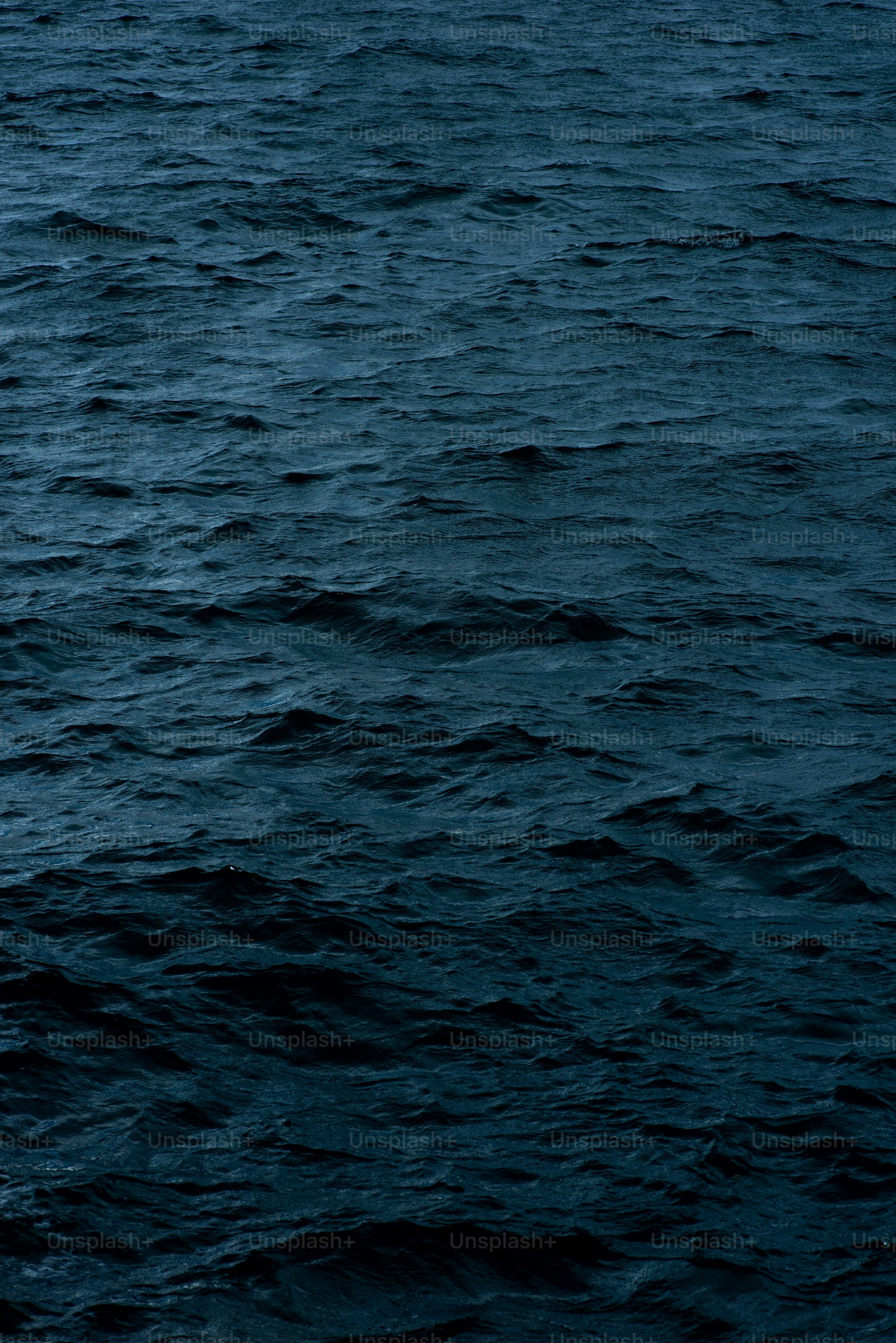 3000x4495 Samsung Wallpaper: Free HD Download [4K]