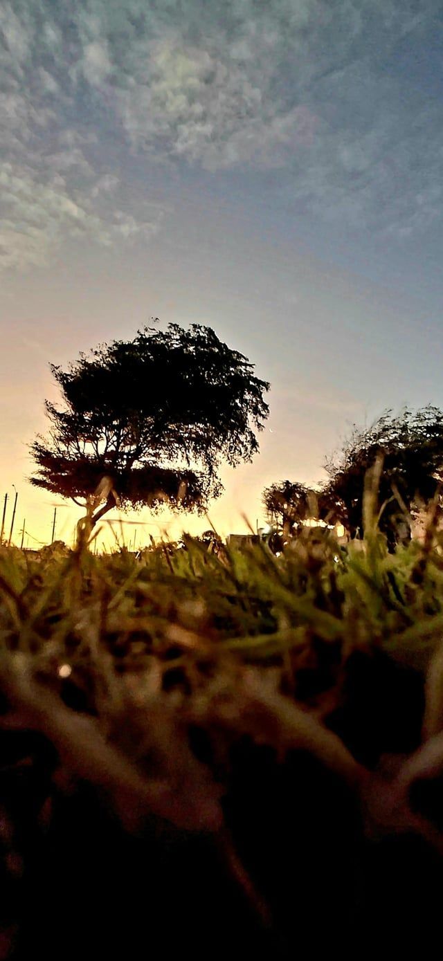 640x1389 Photo on A35