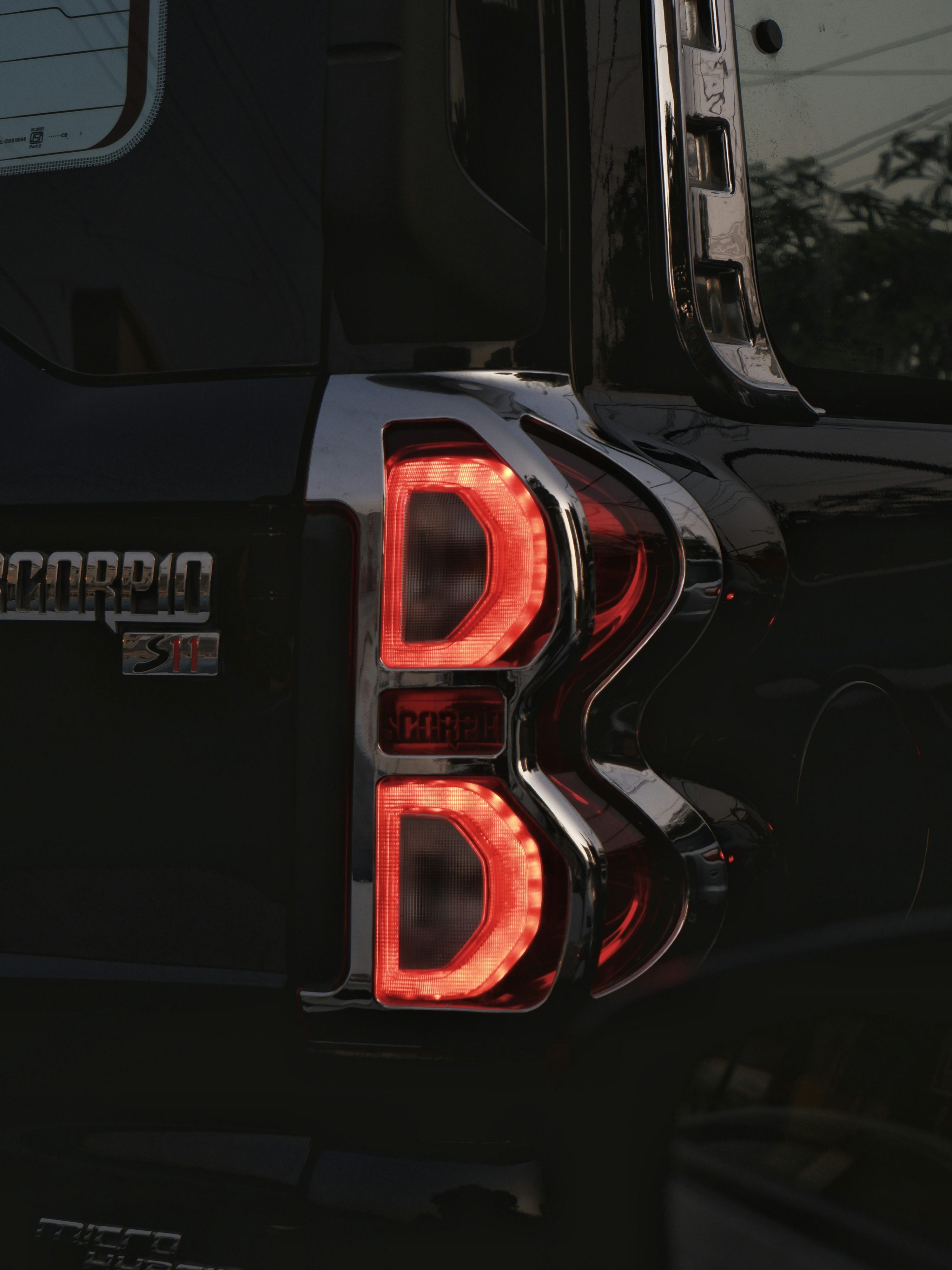 3000x4002 Scorpio Picture. Download Free Image