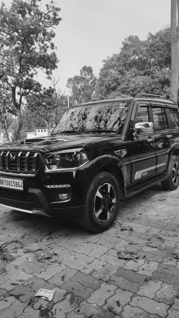 735x1304 Black Scorpio