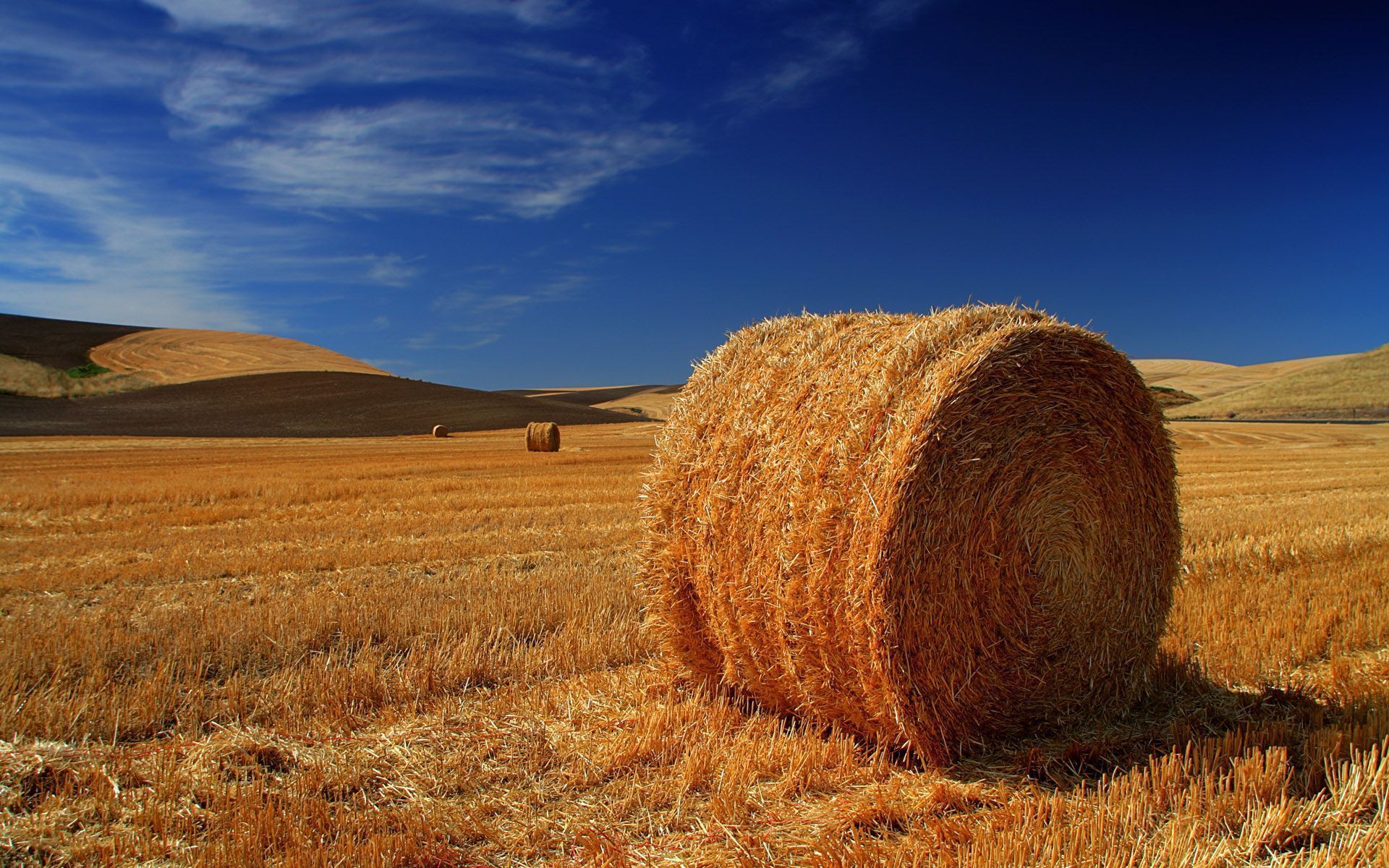 1920x1200 Index Of Duncjo01 Archive Patterns Windows Windows 7 United States
