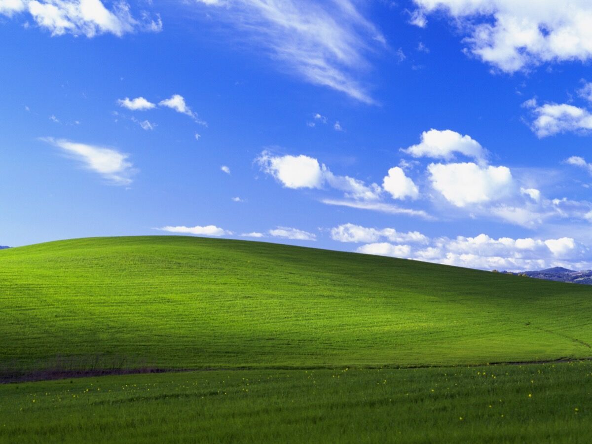 1200x900 The Story behind the Famous Windows XP Desktop Background