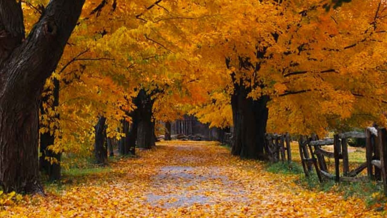 1280x720 beautiful locations: 6 places you thought were only Windows wallpaper. Condé Nast Traveller India