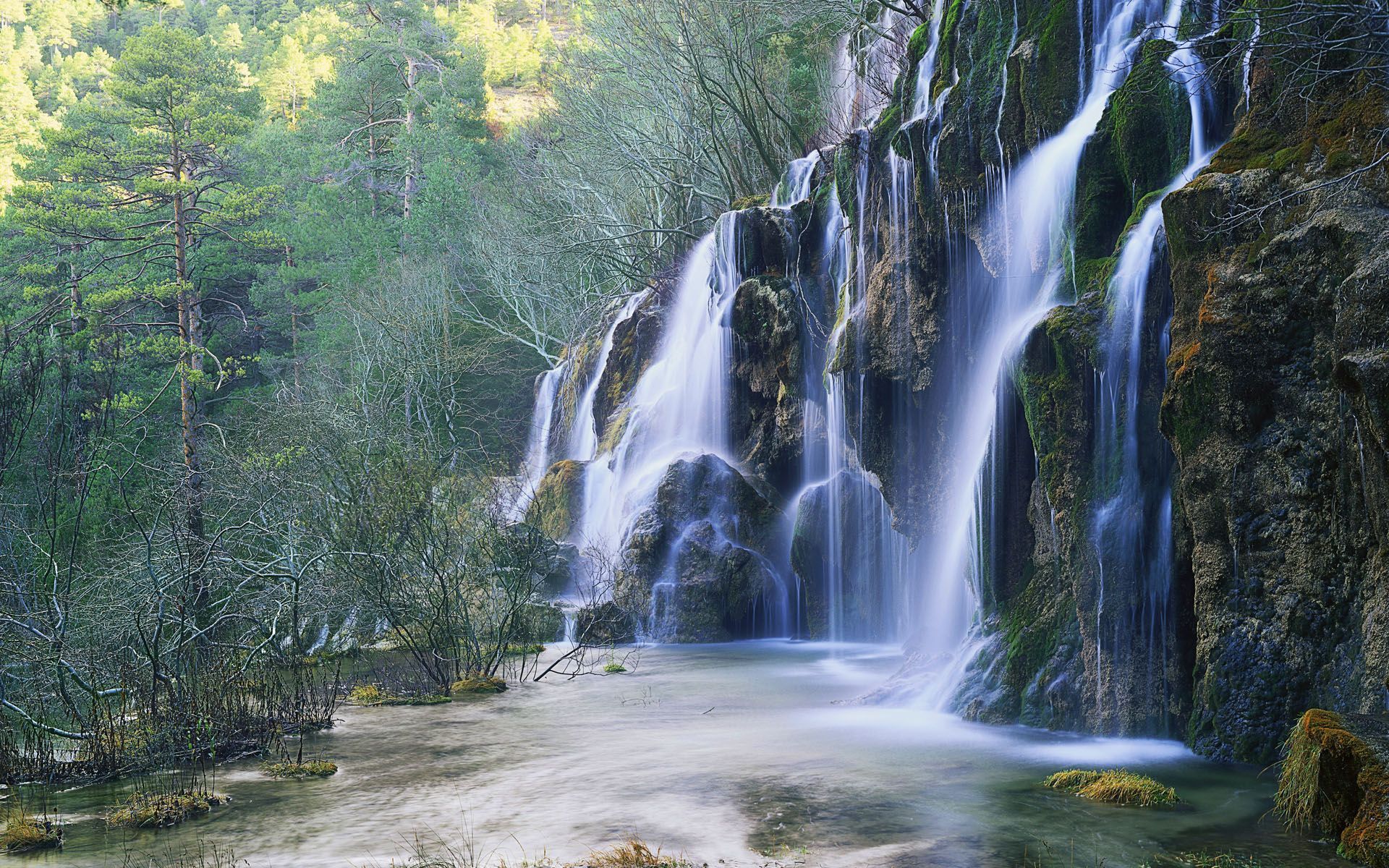 1920x1200 Windows Se7en Wallpaper Set 37 (Nature)