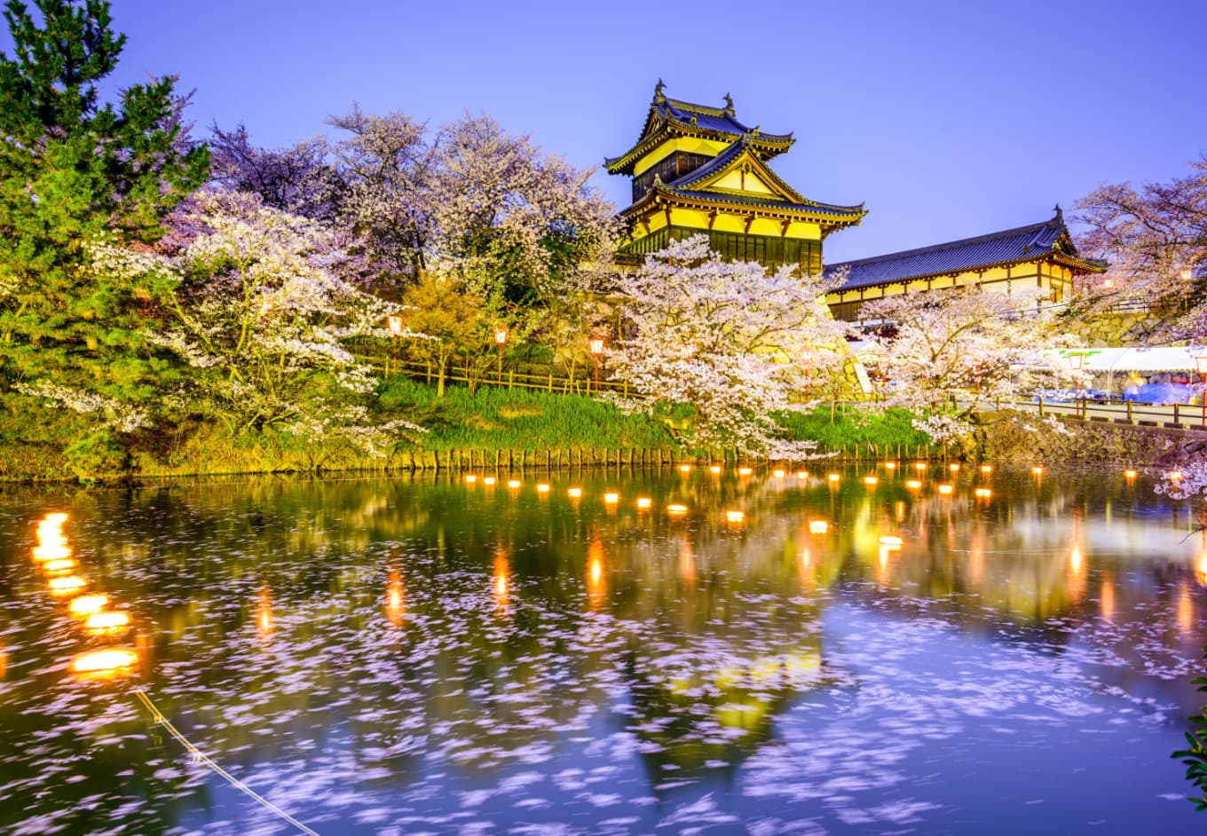 1360x942 The 6 Best Places to See Cherry Blossoms in Nara, Japan