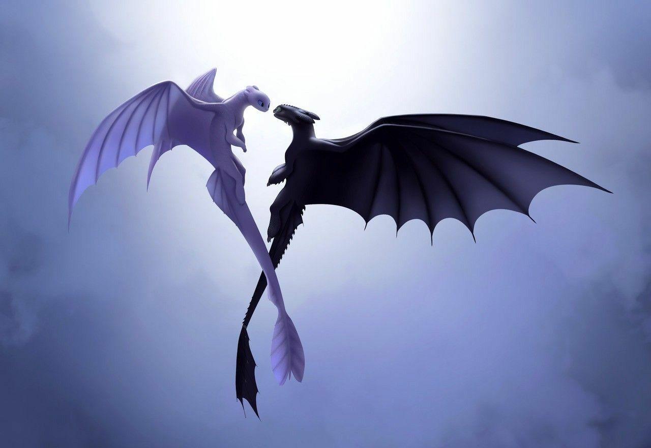 Featured image of post Toothless And Light Fury Flying Fly into battle and relive the epic adventure from how to train your dragon