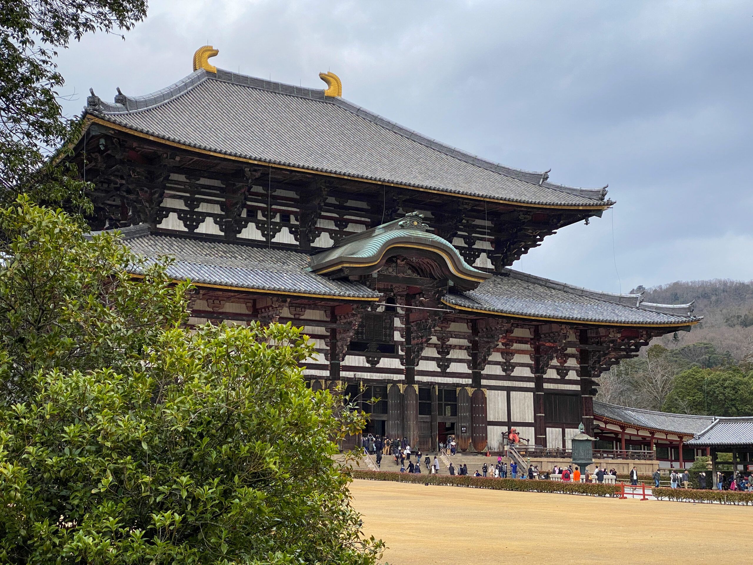 2560x1920 A Day Trip to Nara Park Guide's Movements