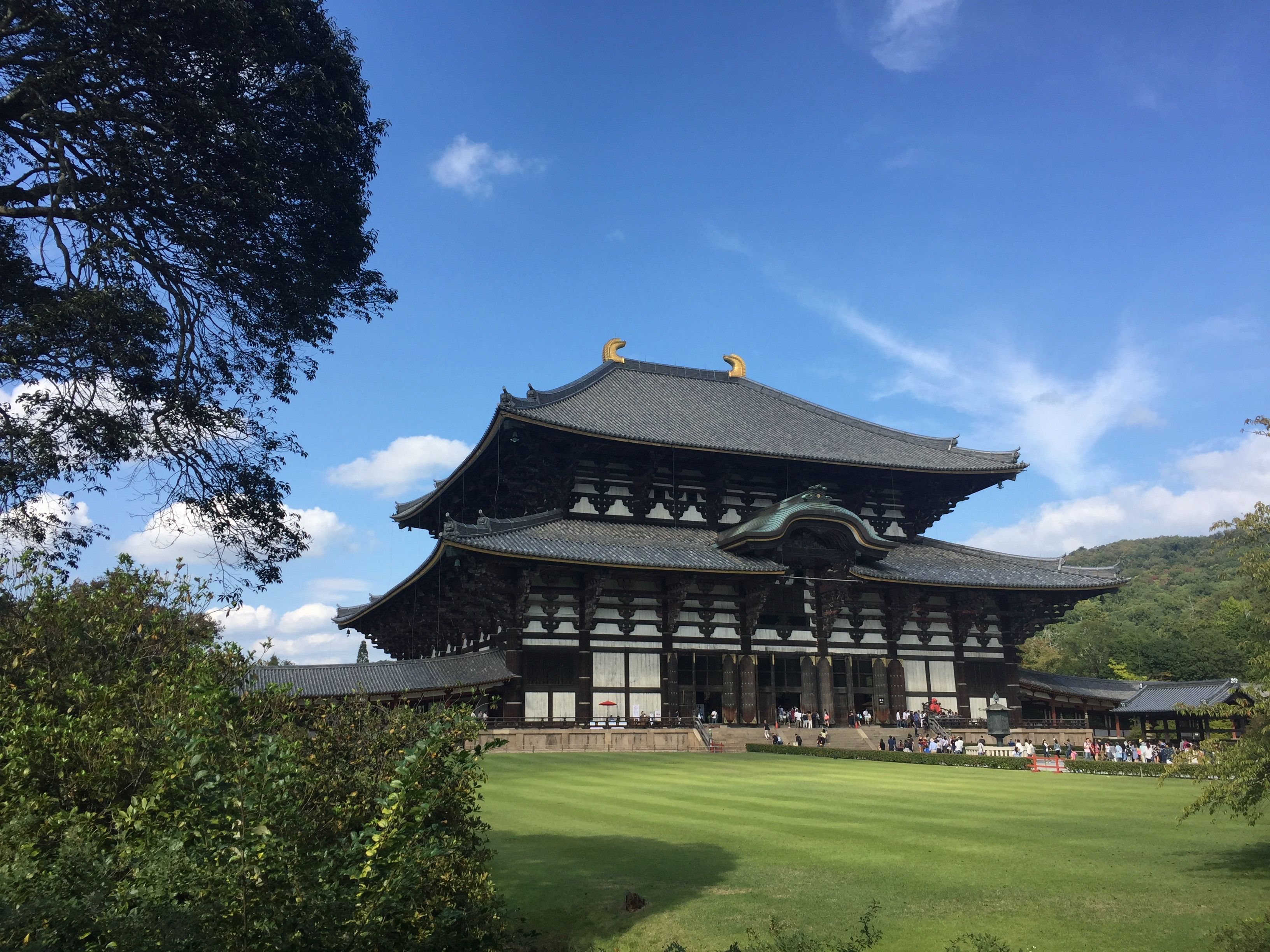 3264x2448 Nara: Where the sacred deer roam free