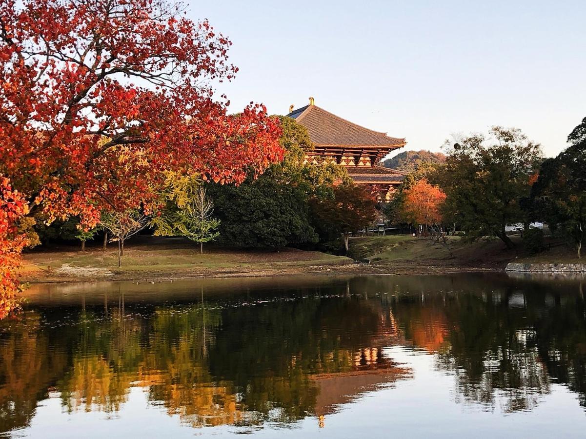 1201x900 NARA PARK BLUE SKY ≡ Nara, Japan ≡ Lowest Booking Rates For Nara Park Blue Sky in Nara, Photo
