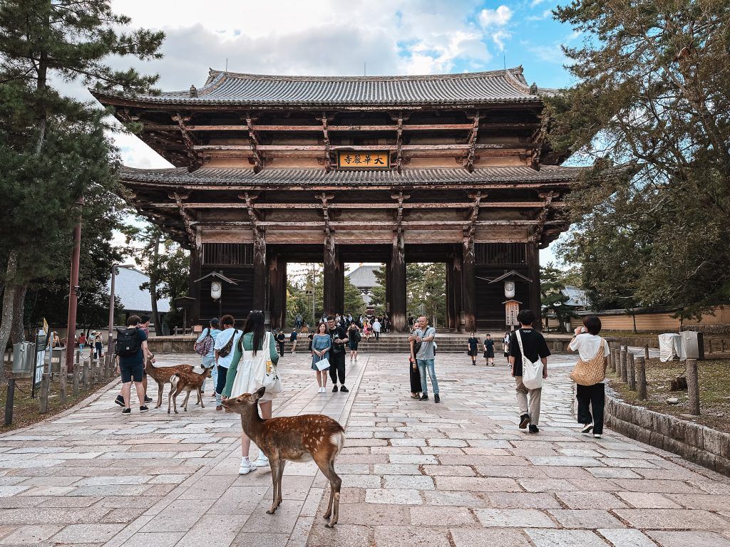 1024x768 Guide to Visiting the Bowing Deer of Nara, Japan. The Partying Traveler