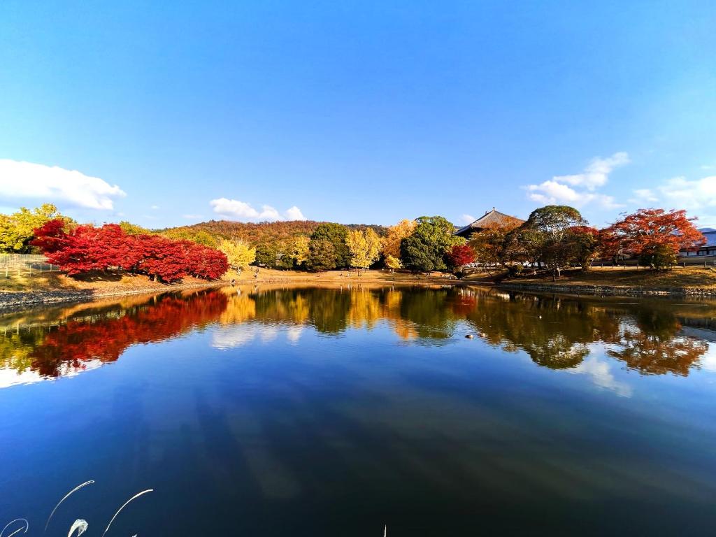 1024x768 Nara Park Blue Sky, Nara (updated prices 2025)